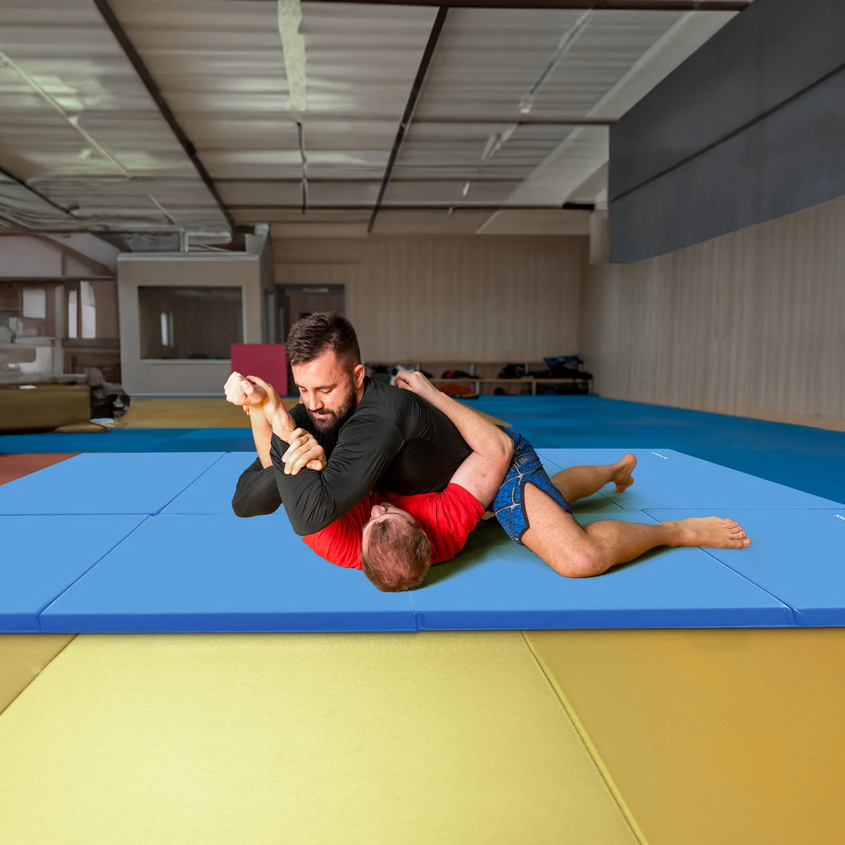 10Ft X 4Ft X 2In 4-Panel All-Purpose Folding Gymnastics Mat, Multicolored